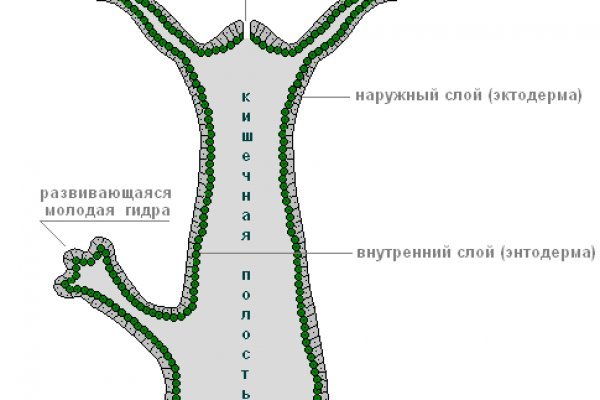 Ссылка в магазин на кракен