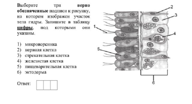 Кракен площадка kr2web in