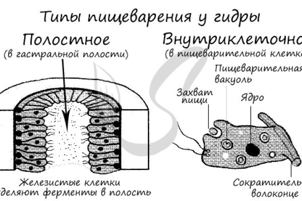 Кракен сайт 18at