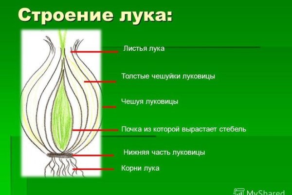 Кракен войти сегодня